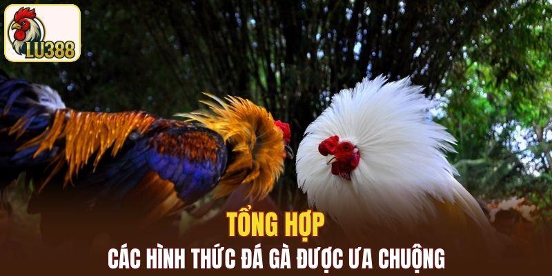 Tổng hợp các hình thức đá gà được ưa chuộng tại nhà cái