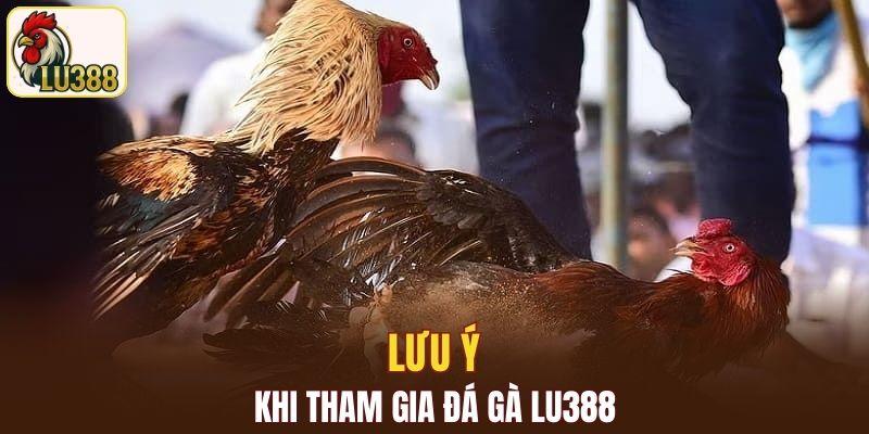 Lưu ý cần nắm rõ khi tham gia cá cược tại nhà cái