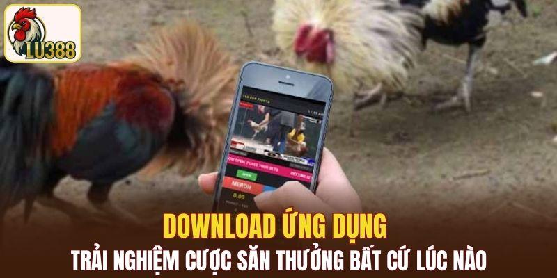 Download ứng dụng trải nghiệm cược săn thưởng bất cứ lúc nào
