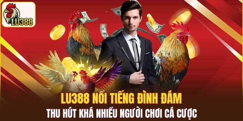 LU388 nổi tiếng đình đám, thu hút khá nhiều người chơi cá cược